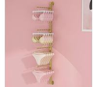 Scaffale di esposizione regolabile del reggiseno e della biancheria intima del metallo per uso commerciale nei negozi di abbigliamento ed nei centri commerciali