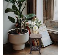 Scaffale Espositivo in Vaso Supporto Per Piante Legno Alzata Da Esterno