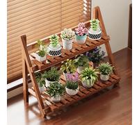 Scaffale Portapiante a Due Livelli in Bambù per E Accessori Organizzatore