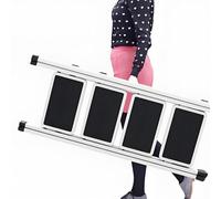 Scala a soppalco elettrica con corrimano 2M-3.8M telecomando soffitto pieghevole telescopico scala portello personalizzato