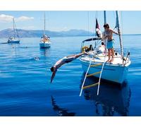 Scala di arrampicata | Scaletta di Corda 2m Marina per Barca a Motore Catamarano Gradini | Scala in corda riflettente in poliestere | Scale multiuso in corda con moschettoni | Leggera & Portatile