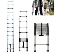 Scala Industriale Multiuso 3,8M in Acciaio Inox a Spina di Pesce, Altezza Massima 12,5 Piedi, Capacità Massima di Carico 150kg/330lbs