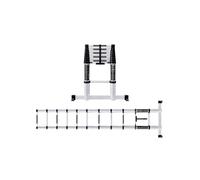 Scala Telescopica 320 cm WERKU