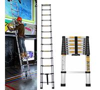 Scala telescopica in acciaio inox, 2,6 m, con 9 pioli, portata 150 kg, EN131