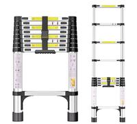 Scala Telescopica in Acciaio Inox 2,6m Scala Estensibile Portatile con Piedini Antiscivolo, Scale Portatile Allungabile per Soffitta, Coperture, Camper, Decorazione e Manutenzione