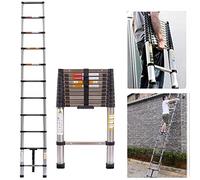 Scala telescopica in acciaio inox da 3,8 m, allungabile, multiuso, a pioli, scala da appoggio, facile da usare, portata 150 kg, Rigogo