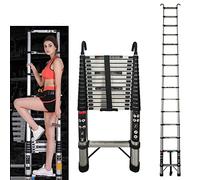 Scala telescopica pieghevole con 2 ganci, 4,4 m, in acciaio inox, portatile, multiuso, portata 150 kg