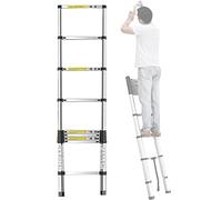 scala telescopica ， Scala estensibile multiuso F 20 piedi 16,5 piedi 12,5 piedi 10,5 piedi 9,5 piedi Scala telescopica, estensione in alluminio for tetto(4.2m/13.8ft)