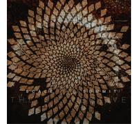Scale the Summit The Collective (Vinyl LP) 12" Album