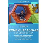 Scaleup. Come guadagnare con una ludoteca