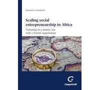 Scaling social entrepreneurship in Africa. Venturing in a stormy sea with a hybrid organization