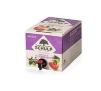 Scallop Succo di mela e sambuco senza additivi, scatola 5 litri