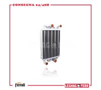 Scambiatore Bitermico per Caldaia Ferroli Ricambi 39837660