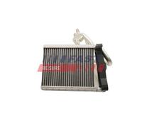 FAST FT55201 Scambiatore calore per riscaldamento abitacolo