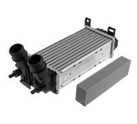 Scambiatore D'aria Intercooler Per Ford Fiesta VII 2017-2019 H1BG6K775CB 2015422
