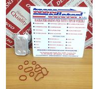 SCAMBIATORE OLIO LANCIA Y - MUSA 1.3 MULTIJET MAGGIORATO