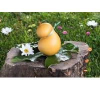 SCAMORZA AFFUMICATA PUGLIESE 2 PEZZI DA CIRCA Gr. 350/400