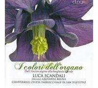 Scandali, Luca - I Colori dell'Organo