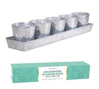 SCANDINORDICA Fioriera per erbe aromatiche zincata - 5 vasi per erbe aromatiche con fori di drenaggio e vassoio, fioriera da davanzale, fioriera da giardino per interni ed esterni, vasi per erbe