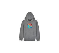 Scans pullover hoody child grey