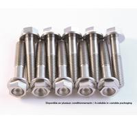 SCAR Kit viti in titanio M6x14 per 6