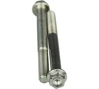SCAR STIM6X6502 TITANIUM BOLT M6X65 PACK OF 2 VITI IN TITANIO