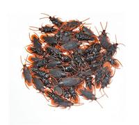 Scarafaggi Scherzi - 50 pezzi di insetti scherzosi in plastica realistici | Scarafaggi realistici per scherzi per le feste di Halloween..Giocattolo bavaglio con insetti spaventosi per bambini e adulti