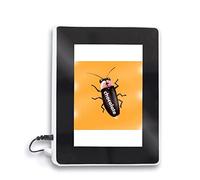 Scarafaggio Scarafaggio Blackbeetle Bugs Malato Magia Specchio Lampada Photo Frame Multifunzione