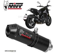 Mivv Scarico per BENELLI LEONCINO 500 2017 > 2022 OVAL CARBON with carbon cap