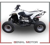 Gpr Exhaust Systems Deeptone Atv Baja 300 05-21 Homologated Full Line System Argento Homologated