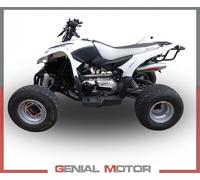 Scarico Completo GPR DEEPTONE ATV Omologato AEON COBRA 300 2007 > 2021