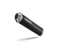 SCARICO MARMITTA GPR Evo4 Road Honda Anf 125 Innova 1995 2012