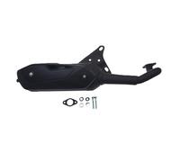 Scarico Tecnigas Silent Pro PGO Big Max Nero