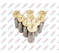 Scarpa pistone Kawasaki M2X150, M2X170, M5X180 0365301 set di 9 pz