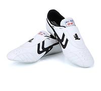 Scarpe Arti Marziali Comode e Resistenti per Taekwondo e Karate - Sneakers Sportive Ideali per Tai Chi Kung Fu Boxing, Taglia 37