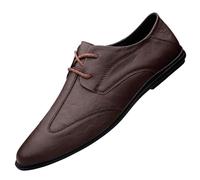 Scarpe Basse da Uomo alla, comode, Antiscivolo, con Lacci, Casual, Adatte a Tutte Le Occasioni, Passeggio