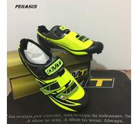 SCARPE BICI STRADA DMT " PEGASUS" SUOLA CARBONIO NUM. 45