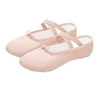 Scarpe da Ballo morbide, Canvas Ballet Slippers Soft Sole Multicolor Multiple Sizes for Women(Light Pink,38 EU)