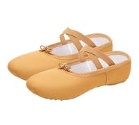 Scarpe da Ballo morbide, Canvas Ballet Slippers Soft Sole Multicolor Multiple Sizes for Women(White,26 EU)