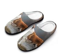 Scarpe Da Casa Saint Dog Slippers | Pantofole Antiscivo Ciabatte Comode Per Interno Hotel E Bagno Donne Uomo