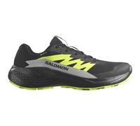 Salomon Alphaglide Gore-tex® Trail Running Shoes Nero EU 46 2/3 Uomo