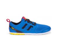 Scarpe da corsa Xero Shoes Born to Run Bleu 44,5