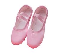 Scarpe Danza Classica Scarpe da Punta Donna in Raso Puro, Colore Rosa Carne e Blu, dalla Taglia 23 alla 43 per Danza(Pink,29)