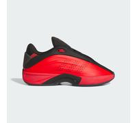 Scarpe Nova IIInfinity Red / Red / Core Black 43 1/3