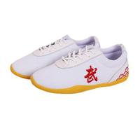 Scarpe per Arti Marziali Donna Uomo Tai Chi Wu Shu Kung Fu Scarpe Traspirante Antiscivolo Sport Palestra Sneaker per Giorno Formazione Esercizi mattutini(Size:40(23.5cm),Color:White)