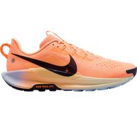 Scarpe per sentieri Nike Pegasus Trail 5 198486904087 in taglia 42 EU