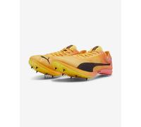 Puma Evospeed Distance Nitro Elite+ 4 giallo 45
