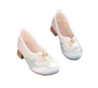 Scarpe Ricamate Floreali in Stile Cinese per Le Donne Scarpe retrò Cheongsam con Tacchi Spessi Mocassini Comodi E Leggeri Scarpe Orientali per Spettacoli Teatrali(Green,34 EU)