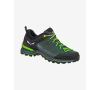 SALEWA Ms Mountain Trainer Lite Gore-tex, Scarpe da Trekking e da Escursionismo Uomo, Verde Myrtle Ombre Blue, 46 EU