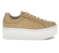 Scarpe sportive con piattaforma Stonefly ALLACCIATE Sky 1 223835 in marrone - Donna, marrone, 40 EU